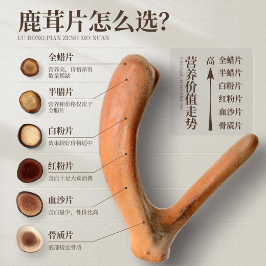 鹿茸红粉片足干 吉林梅花鹿茸片鹿血片蜡片中药材煲汤泡酒料 商品图2