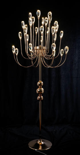 30头钻石路引（运费自理）