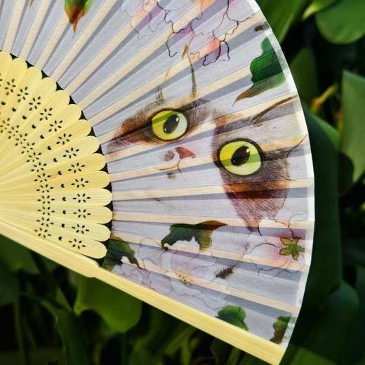 泡面猫|单面纱6寸折扇 商品图0