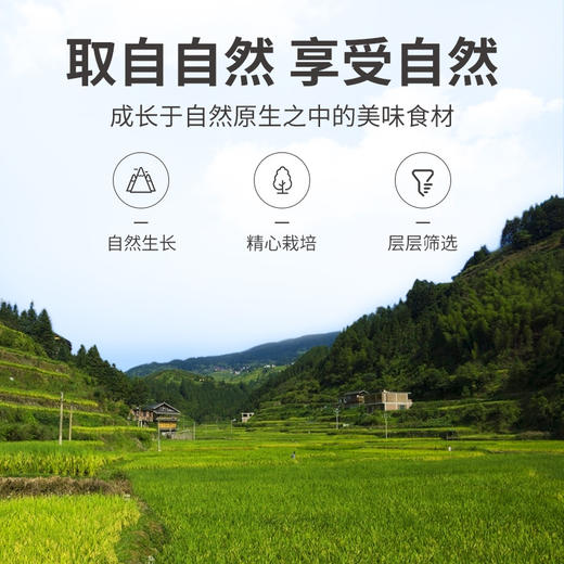 方家铺子 桃胶雪燕皂角米组合520g/瓶装 商品图7