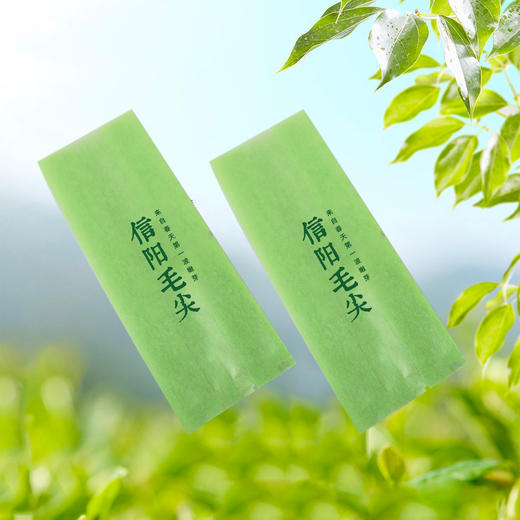 嫩芽【绿.烫金棉纸.125g毛尖】铝箔袋 23元1把. 满15把起包邮 商品图1