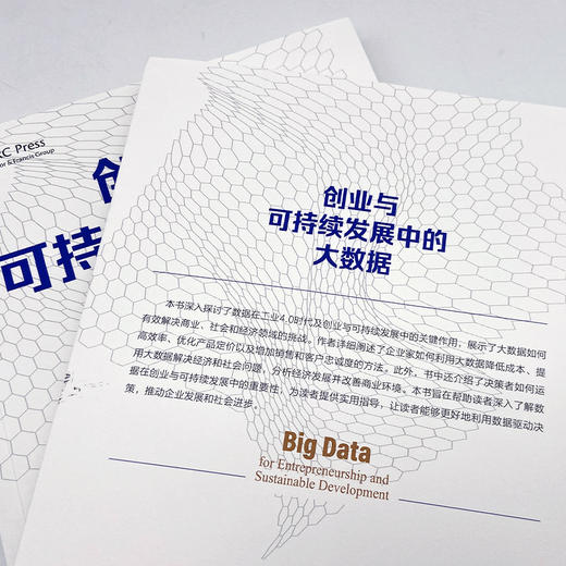 创业与可持续发展中的大数据 商品图4
