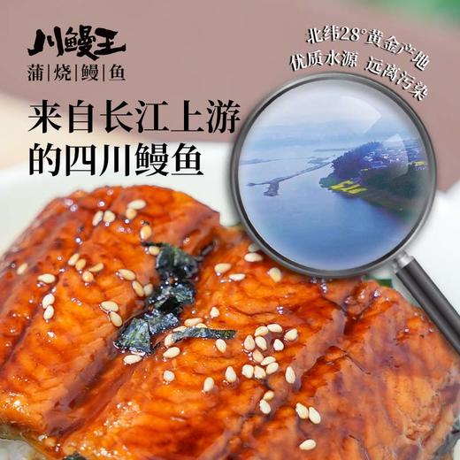 川鳗王蒲烧鳗鱼 500g/条 整尾原切 独立小袋包装 熟制品非即食 商品图6