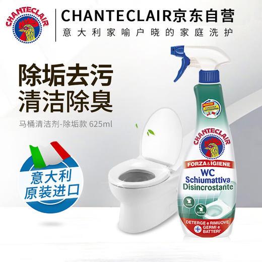 CHANTECLAIR大公鸡管家 马桶清洁剂(除垢) 洁厕液 洁厕灵去渍去异味 625ml 商品图4