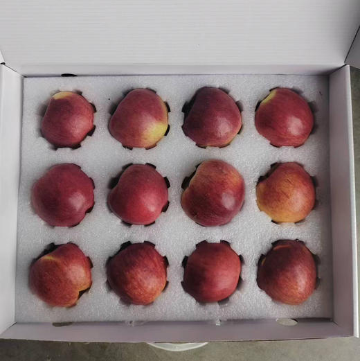 有机糖心苹果🍎3斤装 商品图1