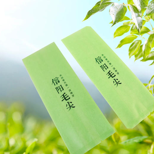 嫩芽【绿.烫金棉纸.250g毛尖】铝箔袋 28元1把. 满15把起包邮 商品图1