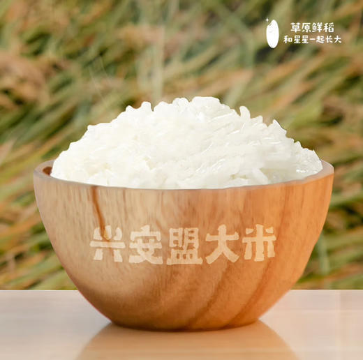 【内蒙古帮扶】兴安盟丨深蓝系列大米 5kg*1袋 商品图2