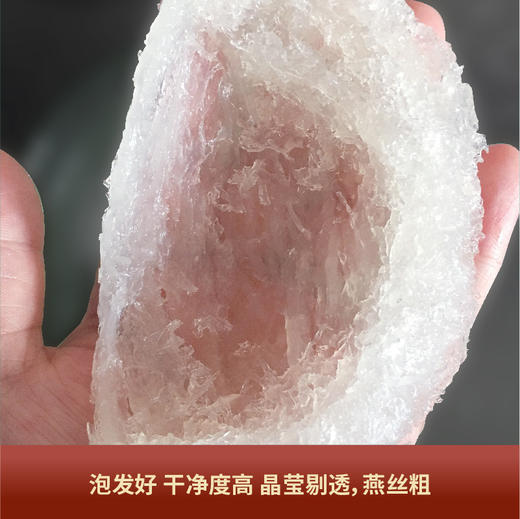 马来溯源码密盏燕窝50克盒装厂家现货燕窝干盏批发孕妇滋补佳品 商品图2