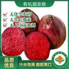 【有机甜菜根】山里农夫 有机甜菜根 3/4.5斤（带皮带泥） 汁水饱满脆甜爽口坏果包赔 商品缩略图0