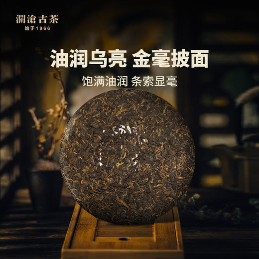 【品鉴装】澜沧古茶2020年凤亦凰熟茶古树精品28座名山融汇撬散品鉴50g 小天球装 商品图1
