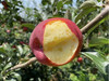 有机糖心苹果🍎精品礼盒4斤装 商品缩略图3