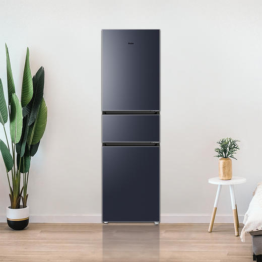 218升冰箱 三门超薄小型迷你家用风冷无霜冰箱 黑金净化