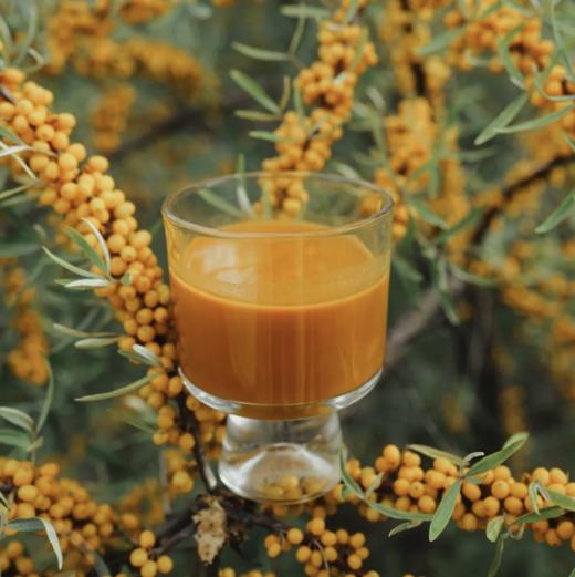 【有机全果沙棘原浆】（50ml*8支/盒）拒绝兑水，拒绝提取，拒绝加糖，配料表只有有机沙棘果！还通过了中国有机认证！ 商品图0