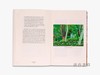 Spring Cannot Be Cancelled: David Hockney in Normandy / 春天终将来临：大卫·霍克尼在诺曼底（平装） 商品缩略图2