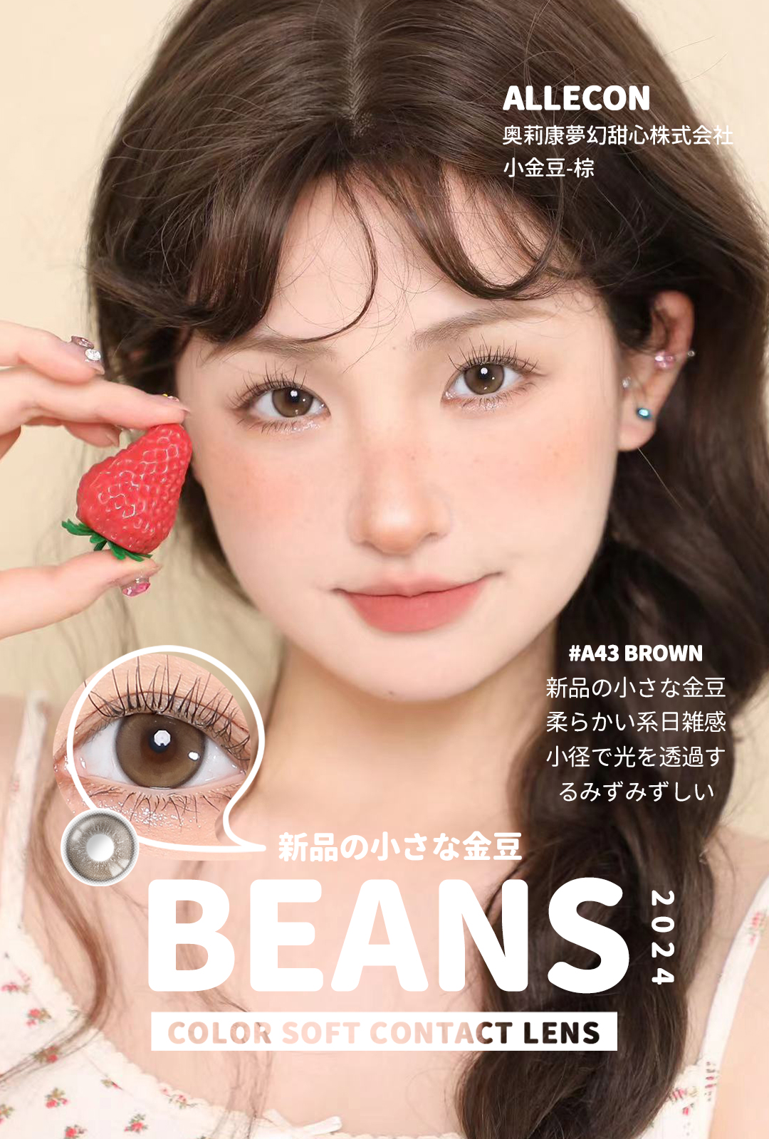 AlleCon 年抛  小金豆棕/小奶豆灰 （棕灰 14.2，最高1000度）