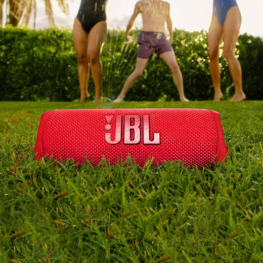 JBL FLIP6 音乐万花筒六代 便携式蓝牙音箱 商品图6