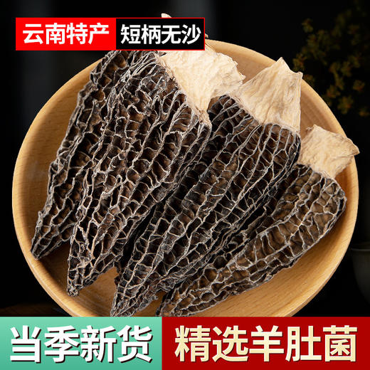 羊肚菌短柄干货500g 羊肚菌5-8cm菌菇汤料多规格批发羊肚菌 商品图0