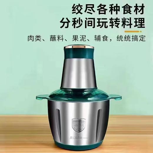 BZX至味多功能电动绞肉机3升 商品图0