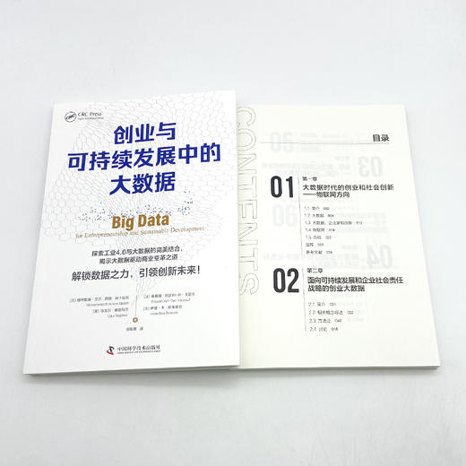 创业与可持续发展中的大数据 商品图2