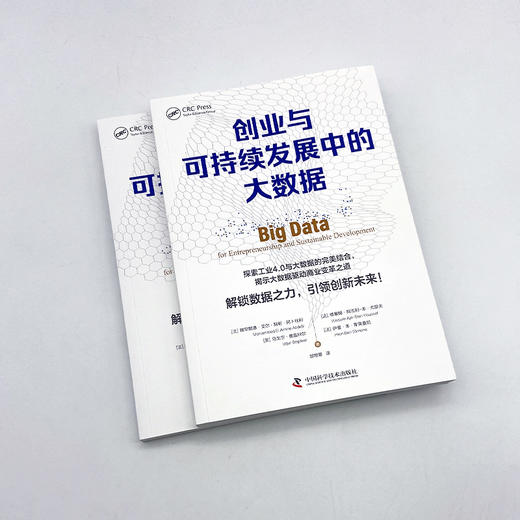 创业与可持续发展中的大数据 商品图3