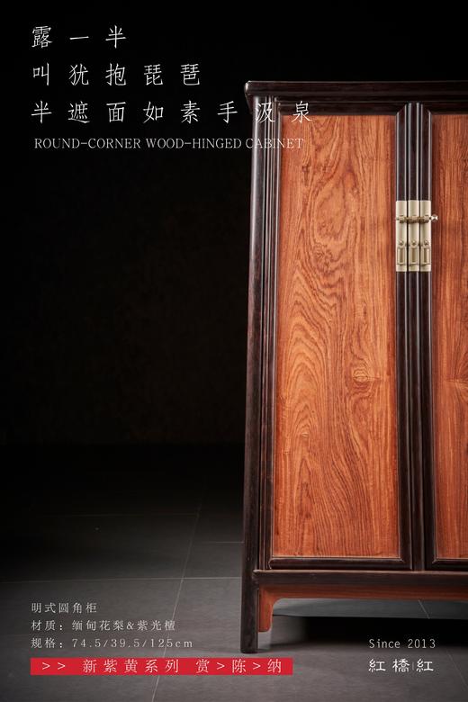红桥红  家具严选  缅甸花梨（大果紫檀）【嵌紫光檀 125 明式素面 小圆角柜】 商品图3