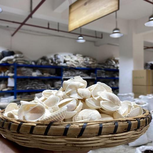 生瓦楞子 商品图1