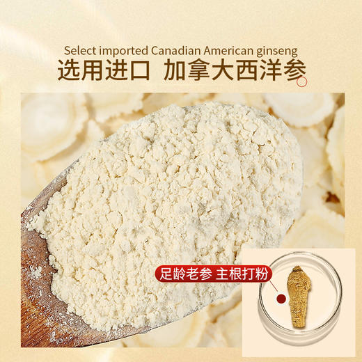 西洋参粉加拿大进口 罐装250g花旗参主根打粉 6年足龄老参高皂苷 商品图1