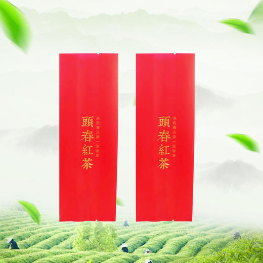 頭春红茶【红.烫金棉纸.250g】铝箔袋 28元1把. 满15把起包邮 商品图1