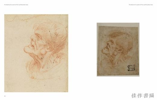 Overshadowed: Leonardo da Vinci and Bernardino Luini / 黯然失色：莱昂纳多·达·芬奇和贝尔纳迪诺·卢伊尼 商品图3