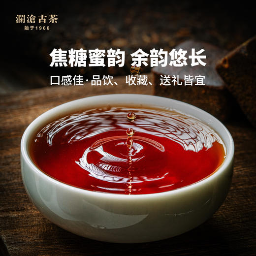 【品鉴装】澜沧古茶2020年凤亦凰熟茶古树精品28座名山融汇撬散品鉴50g 小天球装 商品图3