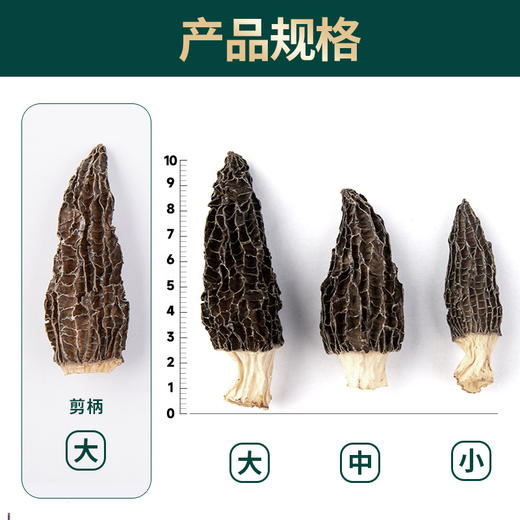 羊肚菌短柄干货500g 羊肚菌5-8cm菌菇汤料多规格批发羊肚菌 商品图2