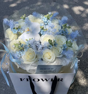 【海洋之歌】21朵精品白玫瑰➕9支蓝星花➕1朵蝴蝶兰➕永生蓬莱松