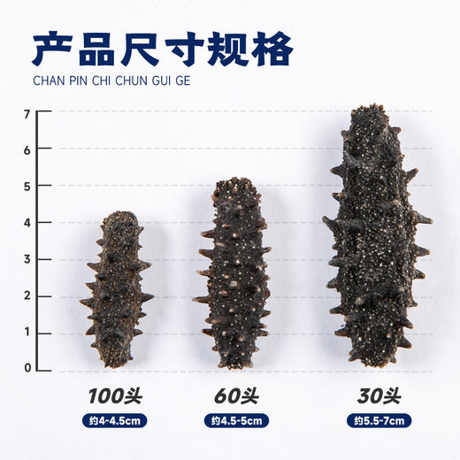 大连海参干货9年刺参辽参淡干高泡发海鲜干货佛跳墙 商品图2