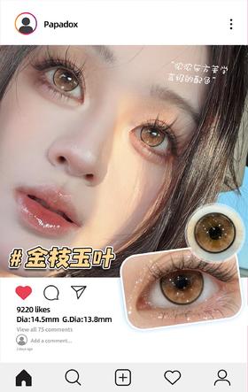 PAPADOX 澳白水滴/冰水琉璃/金枝玉叶（日抛型）