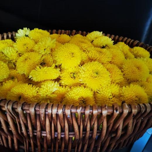 婺康源有机皇菊 商品图2