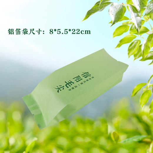 嫩芽【绿.烫金棉纸.125g毛尖】铝箔袋 23元1把. 满15把起包邮 商品图2