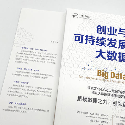 创业与可持续发展中的大数据 商品图1