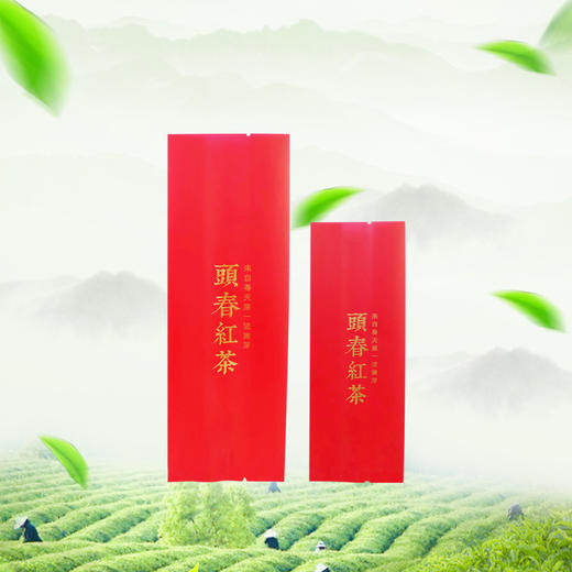 頭春红茶【红.烫金棉纸.125g】铝箔袋 23元1把. 满15把起包邮 商品图2