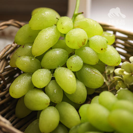 有机葡萄 | 合作生产 * Organic Grapes | Partner Production 商品图0