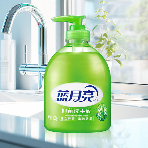 蓝月亮洗手液组合：芦荟洗手液500g*3+芦荟洗手液500g*3 商品图4
