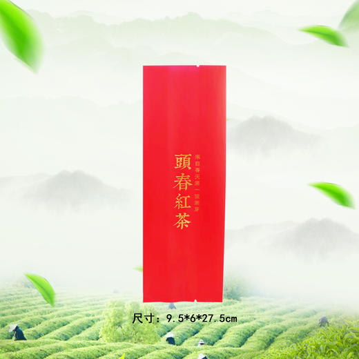 頭春红茶【红.烫金棉纸.250g】铝箔袋 28元1把. 满15把起包邮 商品图3