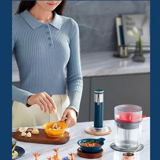 【小家电】东菱Donlim绞肉机家用备餐佐料机电动有线料理棒 套娃辅食机多功能搅拌机碎肉磨粉机捣蒜器DL-5028 HF 商品图1