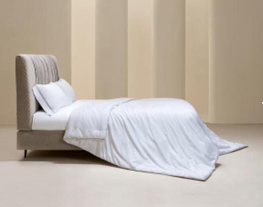 桑蚕丝暖冬被(奥斯塔) 商品图0