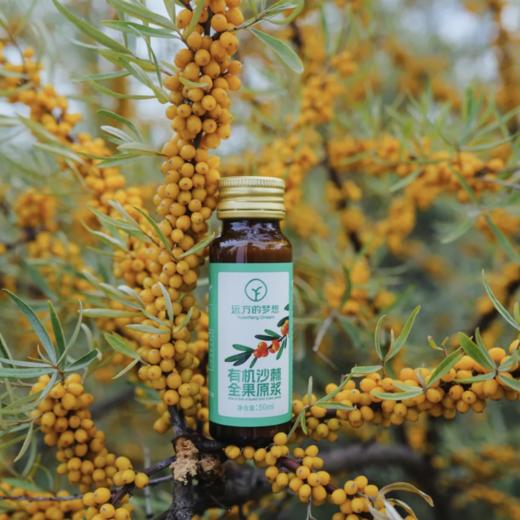 【有机全果沙棘原浆】（50ml*8支/盒）拒绝兑水，拒绝提取，拒绝加糖，配料表只有有机沙棘果！还通过了中国有机认证！ 商品图2