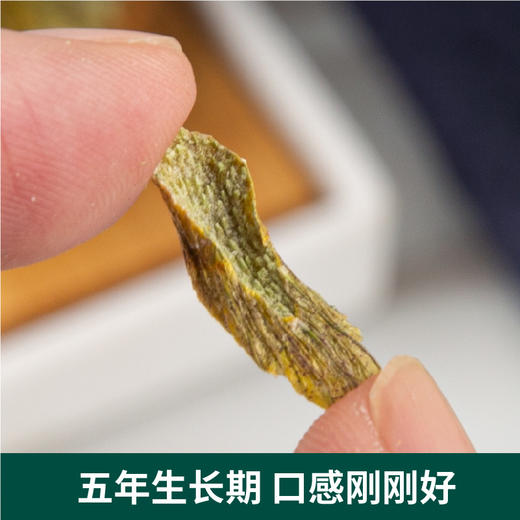 石斛片100克瓶装厂家货源胶多渣少浙江新鲜铁皮石斛切片烘干 商品图3