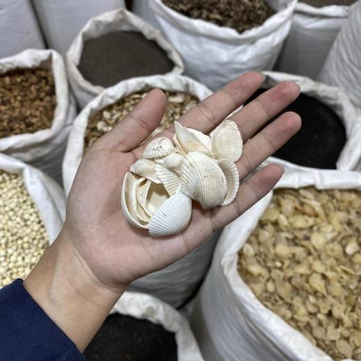 生瓦楞子 商品图4