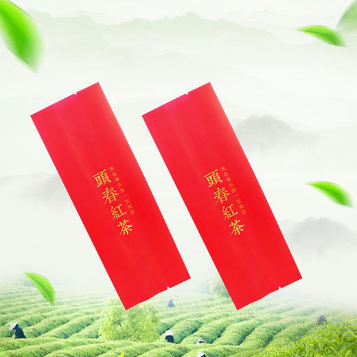 頭春红茶【红.烫金棉纸.125g】铝箔袋 23元1把. 满15把起包邮 商品图1