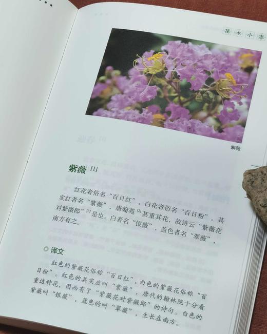 中国历代花经丛书两种：《花佣月令》《花木小志》，布脊精装，[明]徐石麒、谢堃著，湖北科学技术出版社2018年一版一印，222+228页，定价68、68，两册定价136，售价：48元。 商品图11