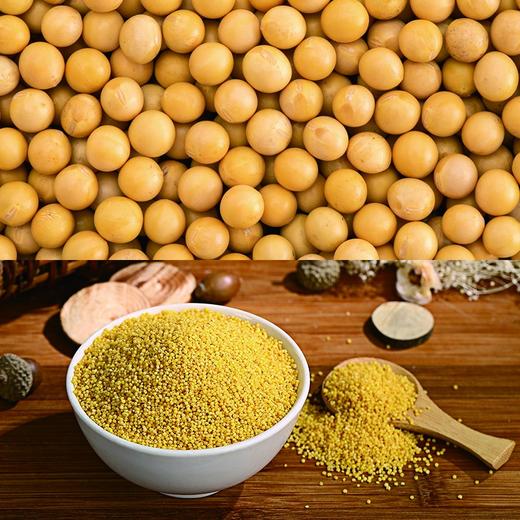 金亮子有机礼盒3025g 商品图3