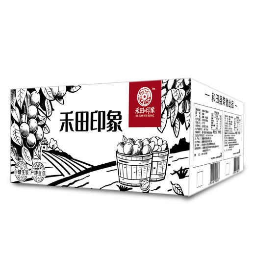 禾田印象和田灰枣5斤量贩装 商品图4